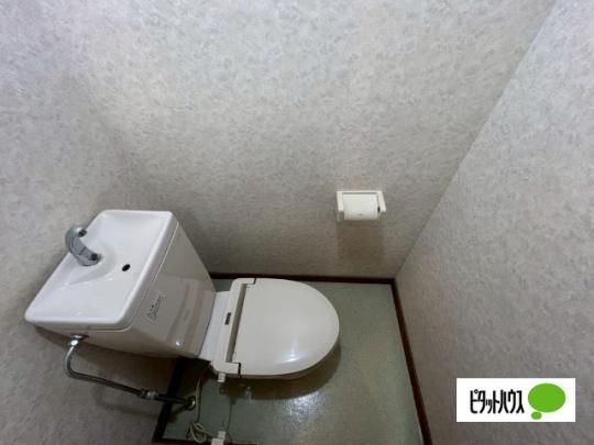 �y���̑��z�@�g�C��