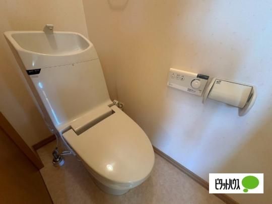 �y���̑��z�@�g�C��