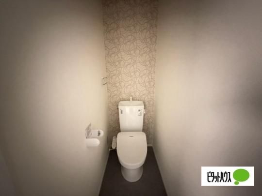�y���̑��z�@�g�C��