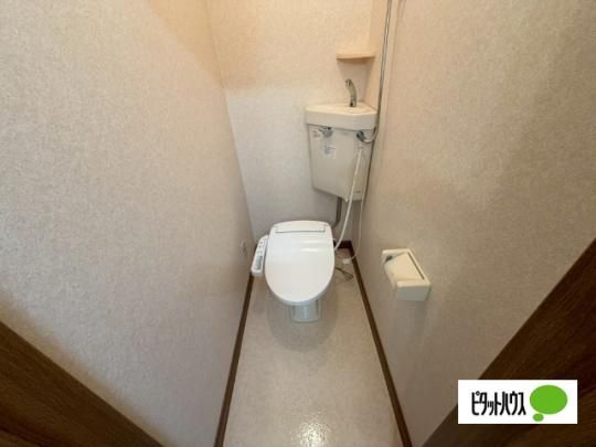 �y���̑��z�@�g�C��