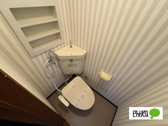 �y���̑��z�@�g�C��