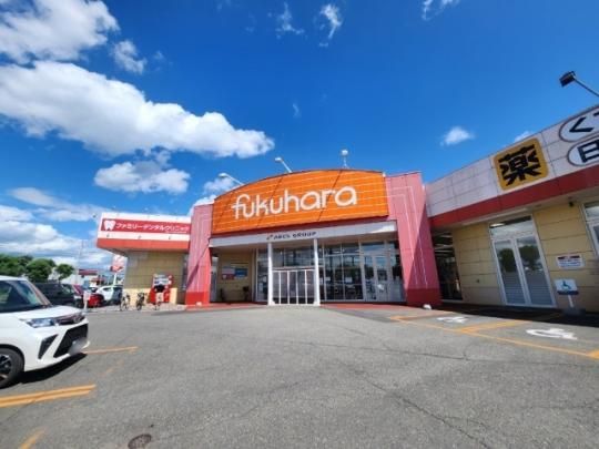 �y���Ӂz�@�t�N�n����12��X�F1311m