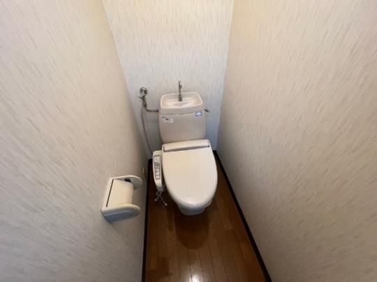�y���̑��z�@�g�C��