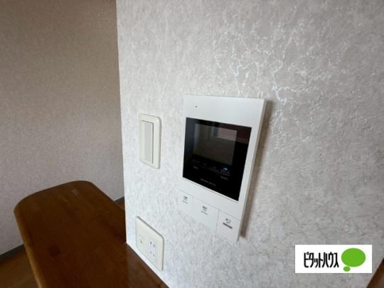 �y���̑��z�@�Z�L�����e�B