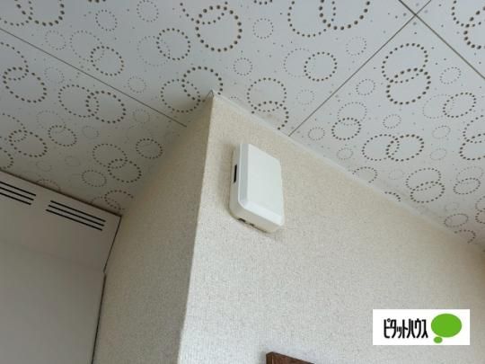 �y���̑��z�@�Z�L�����e�B