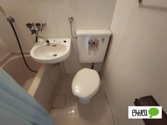 �y���̑��z�@�g�C��