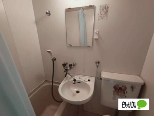 �y���̑��z�@����