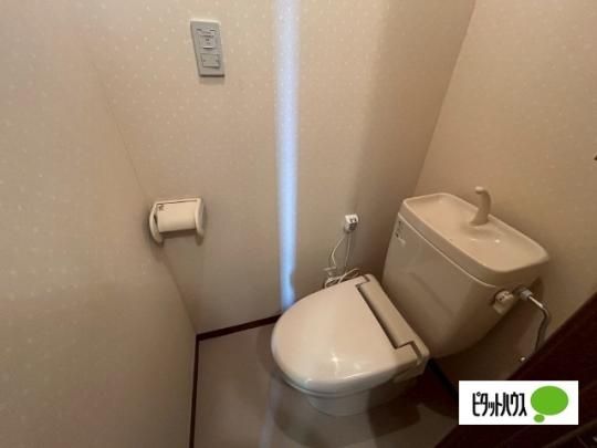 �y���̑��z�@�g�C��