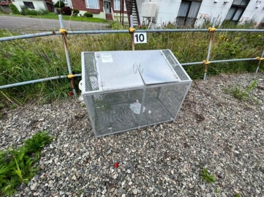 �y�����O�ρz�@���L����