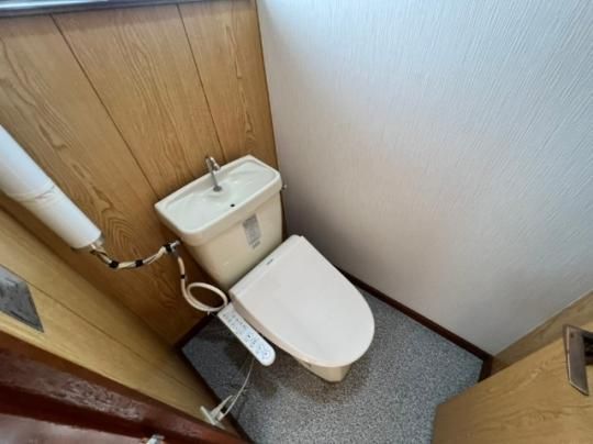 �y���̑��z�@�g�C��