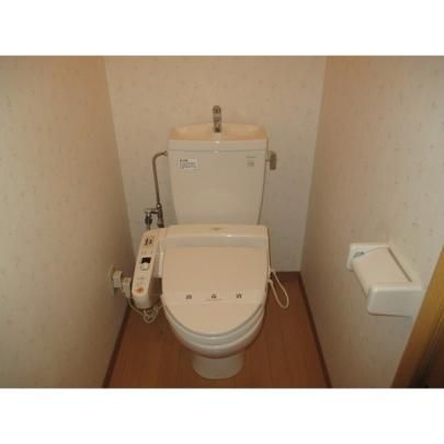 �y���̑��z�@�g�C��