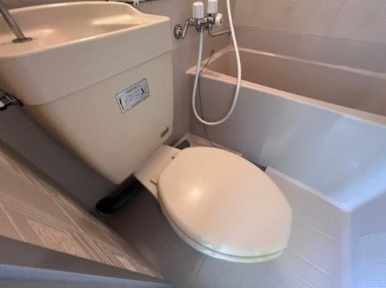 �y���̑��z�@�g�C��