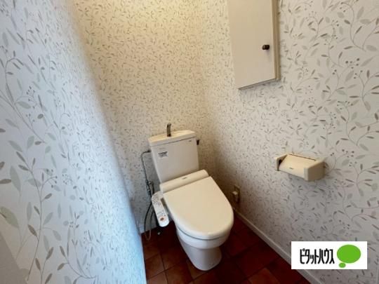 �y���̑��z�@�g�C��