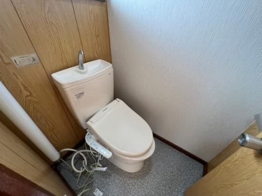 �y���̑��z�@�g�C��