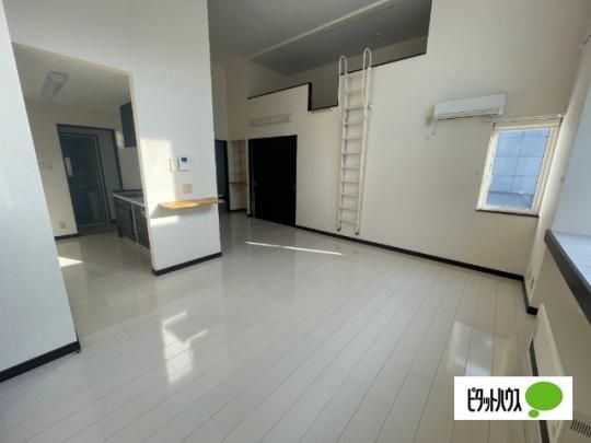 �y���̑��z�@���r���O