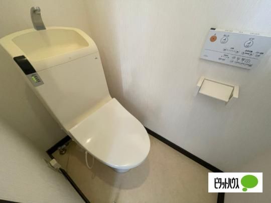 �y���̑��z�@�g�C��