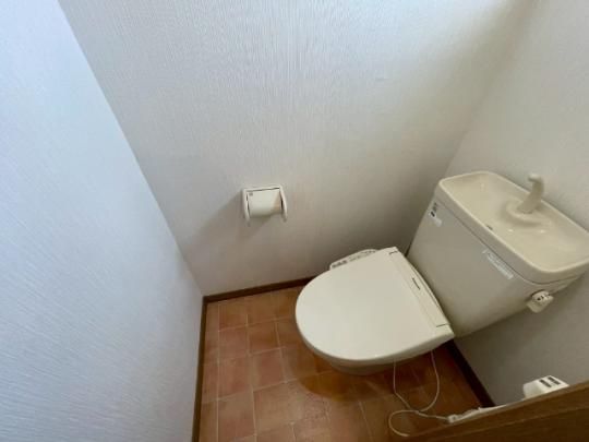 �y���̑��z�@�g�C��