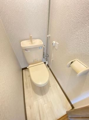 �y���̑��z�@�g�C��