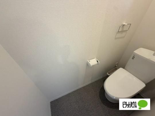 �y���̑��z�@�g�C��