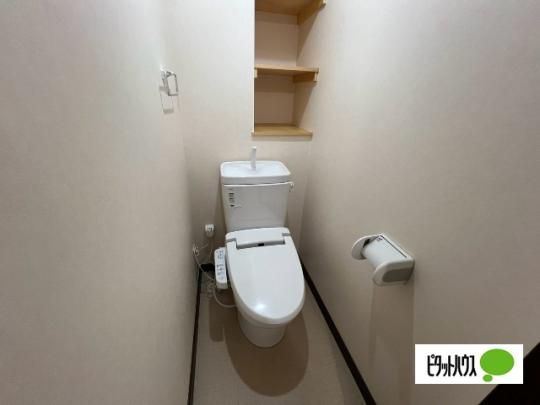 �y���̑��z�@�g�C��