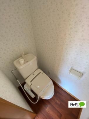 �y���̑��z�@�g�C��