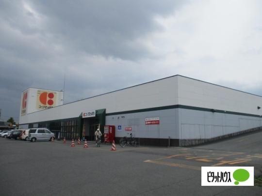 �y���Ӂz�@�R�[�v�����ۂ�c�C���n�[�v�X�F1918m