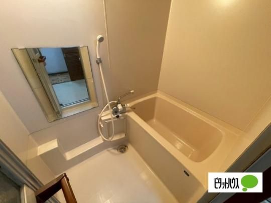 �y���̑��z�@�o�X�^�V�����[