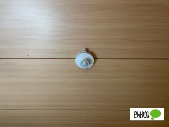 �y���̑��z�@�Z�L�����e�B