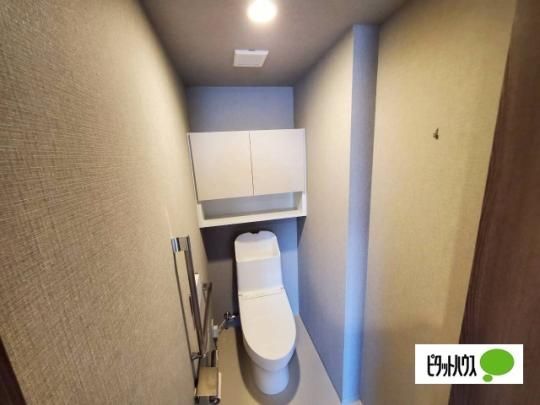 �y���̑��z�@�g�C��