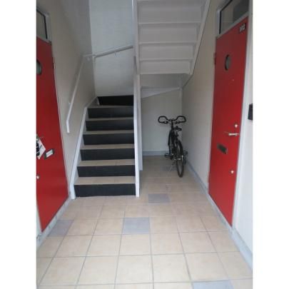�y�����O�ρz�@�G���g�����X