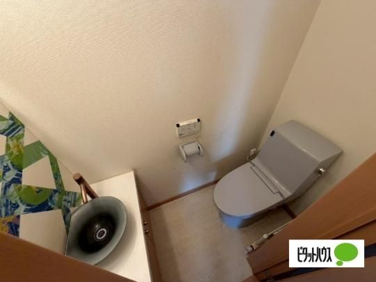 �y���̑��z�@�g�C��