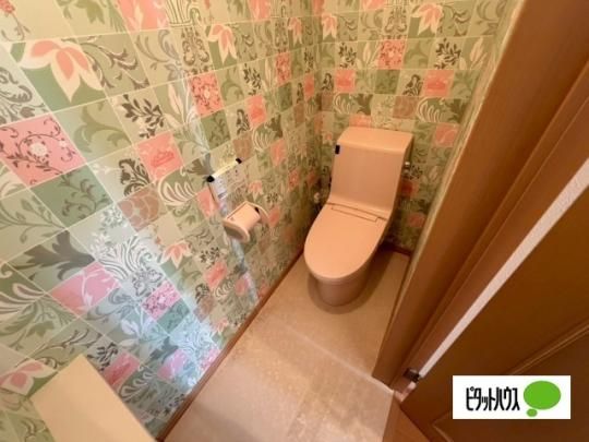 �y���̑��z�@�g�C��