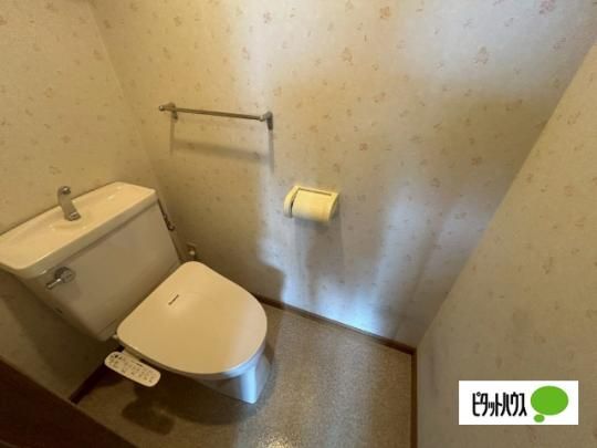�y���̑��z�@�g�C��