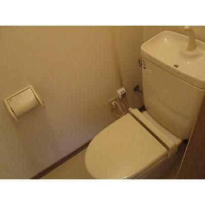 �y���̑��z�@�g�C��
