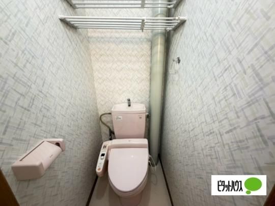 �y���̑��z�@�g�C��