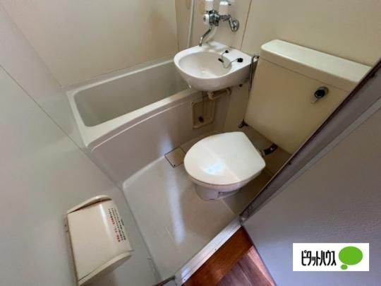 �y���̑��z�@�g�C��