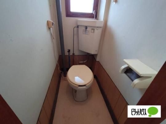�y���̑��z�@�g�C��
