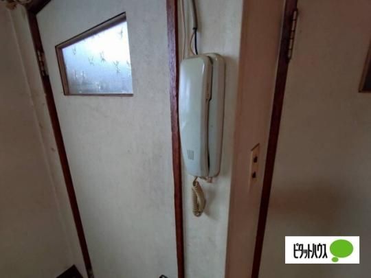 �y���̑��z�@�Z�L�����e�B