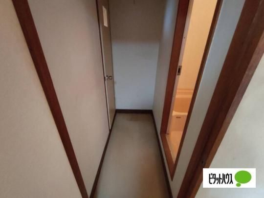 �y���̑��z�@���̑�