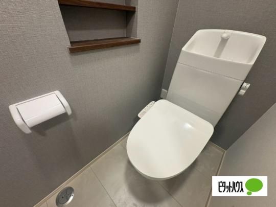 �y���̑��z�@�g�C��