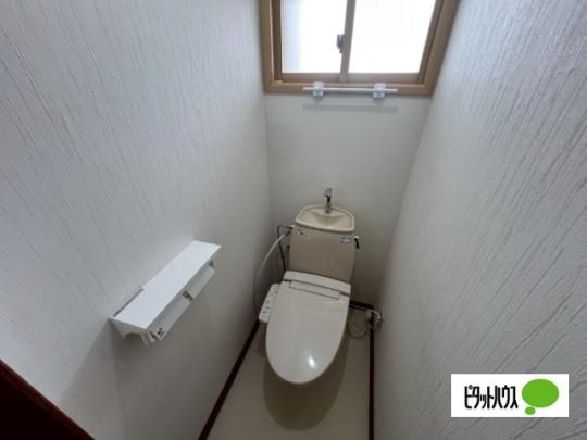 �y���̑��z�@�g�C��