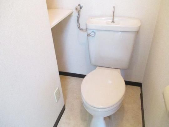 �y���̑��z�@�g�C��