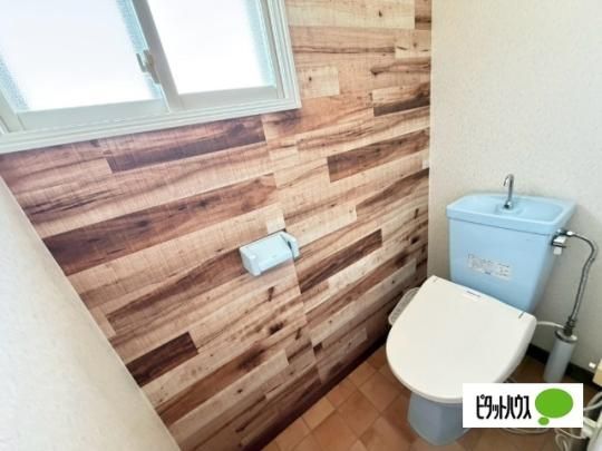 �y���̑��z�@�g�C��