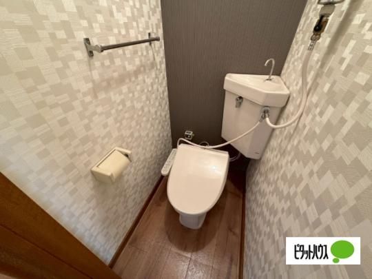 �y���̑��z�@�g�C��