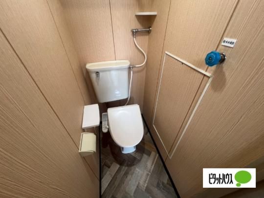 �y���̑��z�@�g�C��
