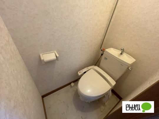 �y���̑��z�@�g�C��