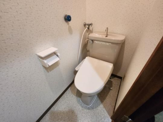 �y���̑��z�@�g�C��