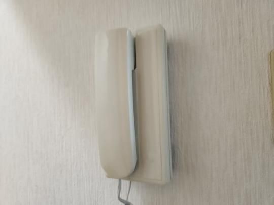 �y���̑��z�@�Z�L�����e�B