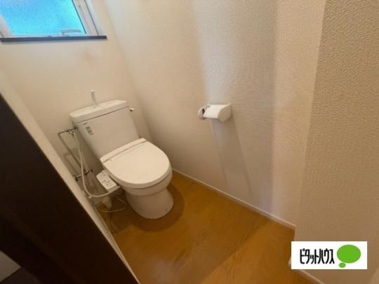�y���̑��z�@�g�C��