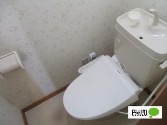 �y���̑��z�@�g�C��